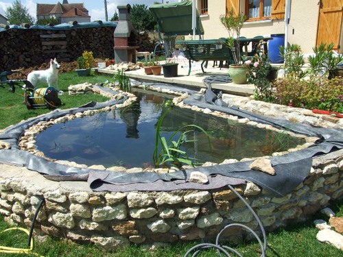 bassin de jardin fait maison
