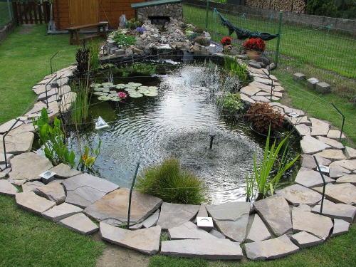 bassin de jardin decoration