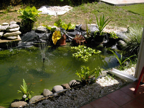 bassin de jardin guadeloupe